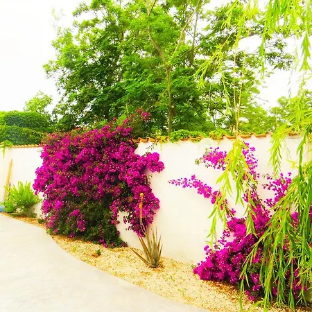 Oda ve Kahvaltı Alba E Tramonto Fiumicino